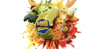 Challenging fears and misconceptions about crop biotechnology is a challenge in an era of disinformation